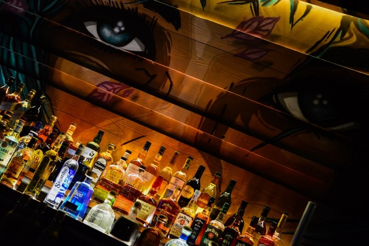 Fertil Dbayeh on Saturday Night